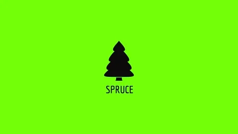 Spruce tree icon animation Stock Footage 157070909