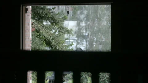 Spruce Tree in the Rain Viewed Through a Window Stock Footage 344615221