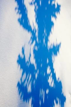 Spruce tree shadow on snow Stock Photos