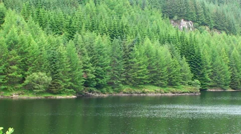 Spruce tree shore on the opposite side of the loch in Highlands Stock Footage 39614208