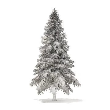 Spruce Tree with Snow 3D Model 4.4m 3D Model