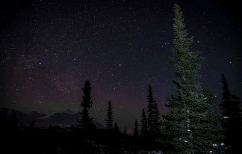 Spruce Trees and Mountains under stars and light aurora in Denali, Alaska Stock Photos