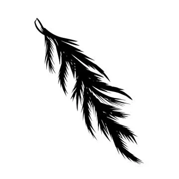 Spruce twig black silhouette vector stock illustration Stock Illustration