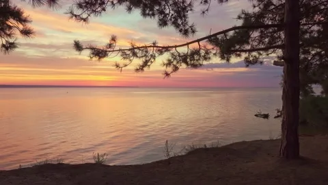 Spurce on the edge on sunrise. Видео 152008722