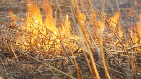 Spurts of Flame Stock Footage 72114061