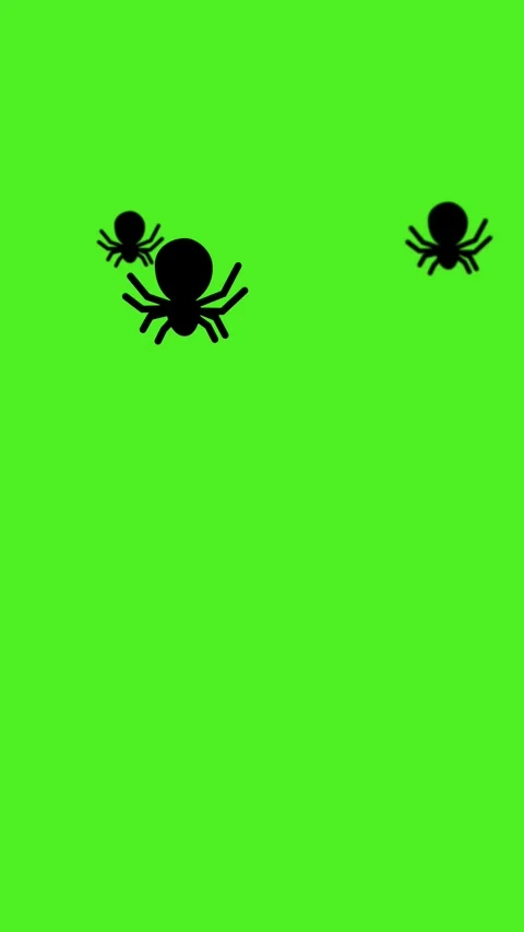 Spyder insect isolated green Video stock 344229402