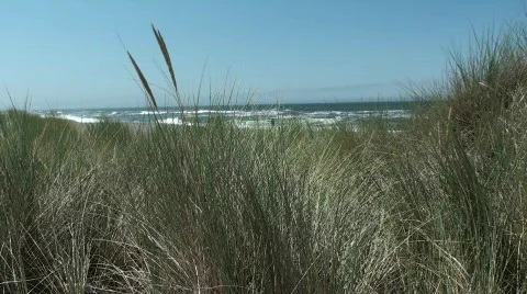 Spy At Beach Stock Videos – Royalty-Free HD & 4K Videos