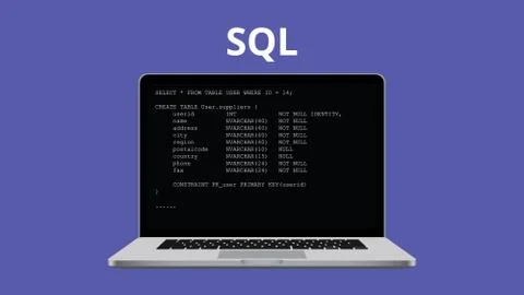 Sql syntax programming illustration with laptop and code program Stock Illustration