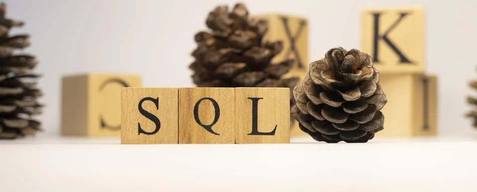 SQL was created from wooden cubes. pine cone concept. concept. Foto stock