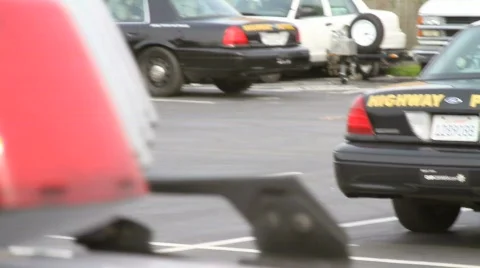 Squad Car Flashing Lights 2 Stock Footage 647082