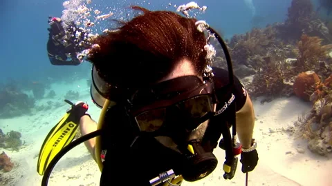 Squad of divers can be seen swimming near bottom of sea. Stock Footage 235002947