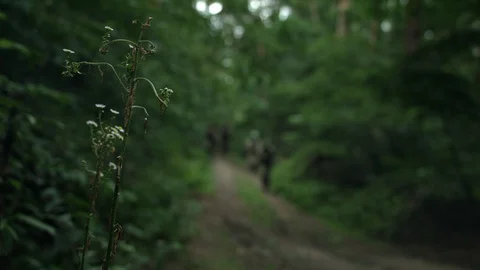 Squad of Five Fully Equipped Soldiers in Camouflage on a Reconnaissance Mission. Stock Footage 107307475