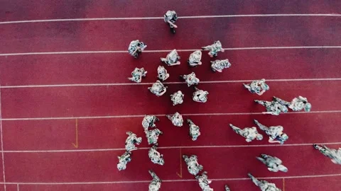 Squads of e soldiers are standing on the green field. Stock Footage 171264853