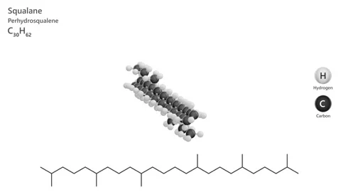 Squalane. 3D model of a molecule. C30H62. White background. 3D render Stock Footage 292392637