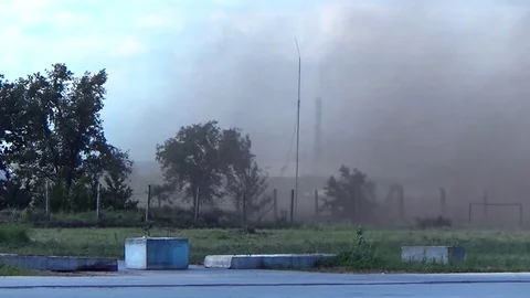 Squally wind bends the trees Video stock 78706895