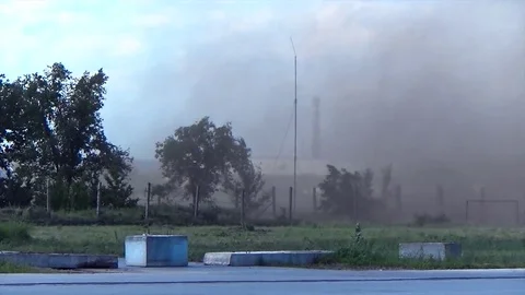 Squally wind tends trees Vidéo 82208923