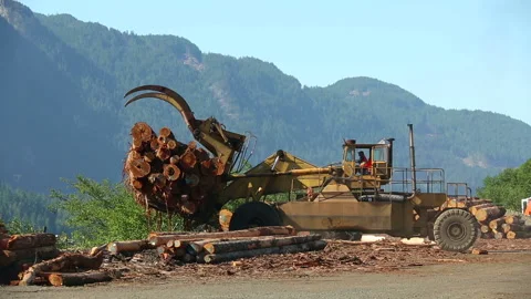 Squamish Logging Industry Log Boom Video stock 157891531