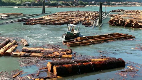 Squamish Logging Industry Log Boom Stock Footage 157892618