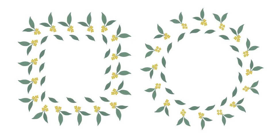 Square and Circle Botanical Frames Osmanthus flowers and leaves Mid Autumn Stock Illustration