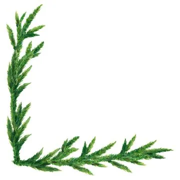 Square angular frame made of fresh fir branches, bringing a natural touch t.. Stock Illustration