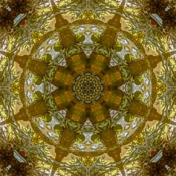 Square Angular view of leaves of a flower arrangemnet no petals Foto stock