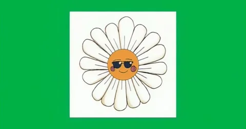 Square appearing on transparent background holding sunglassed daisy face still Stock Footage 317363125