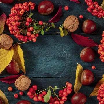 Square autumn background design template with chestnuts and autumn leaves, shot Foto stock