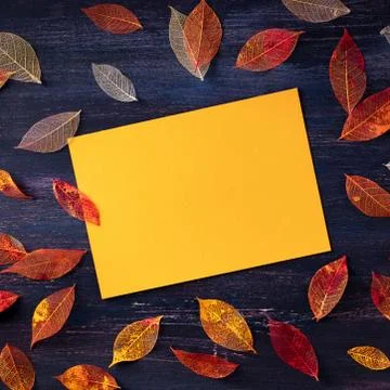 Square autumn design template, a flat lay of fall leaves with a greeting card Stock Photos