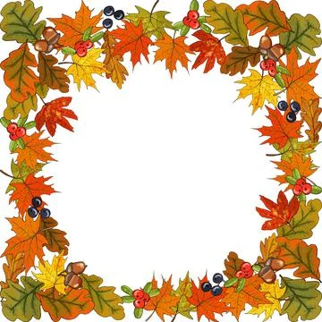 Square autumn pattern with leaves, flowers, acorns, berries on white. Stock Illustration