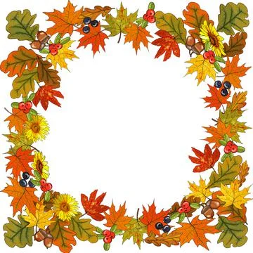 Square autumn pattern with leaves, flowers, acorns, berries on white. Stock Illustration