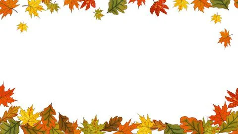 Square autumn pattern with leaves, flowers, acorns, berries on white. Stock Illustration