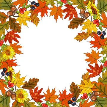 Square autumn pattern with leaves on white background. Stock-Illustration
