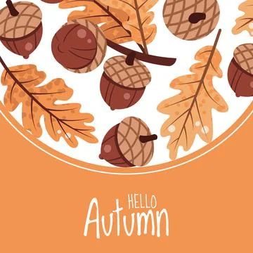 Square Background with Acorns and Oak Leaves in Flat Style for Autumn Greetin Stock Illustration
