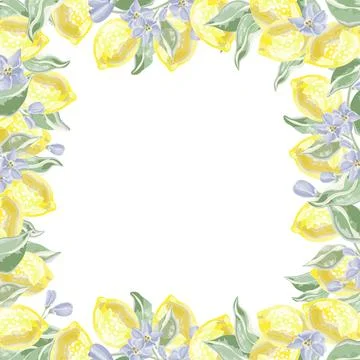 Square background banner of lemon branches with lemons vector in watercolor Stock Illustration