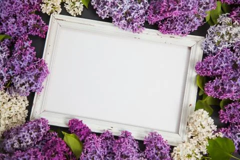 Square background with copy space in center and lilac blossom on border. 库存照片