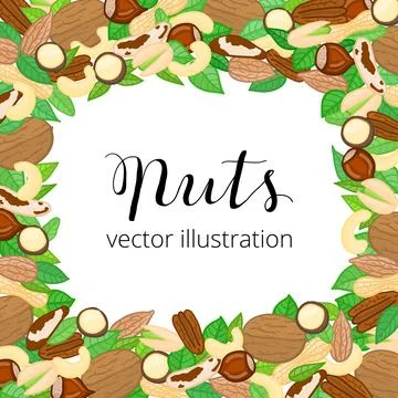 Square background with doodle nuts, leaves. Illustrazione stock
