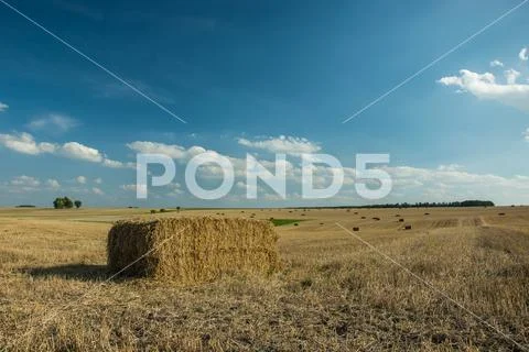 Square bale of hay in a field Stock Photos
