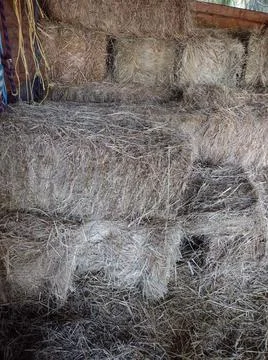 Square bales of hay stacked backdrop Foto stock