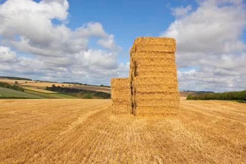 Square bales Stock Photos