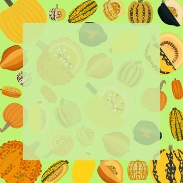 Square banner. Cucurbita pepo. Flat style. Stock Illustration