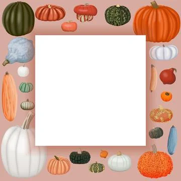 Square banner. Winter squash. Cucurbita maxima Illustrazione stock
