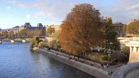 Square Barye and Ile Saint-Louis island on the Seine river in Paris, France Stock Footage 234977710