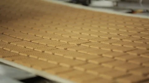 Square biscuits in the same order on the conveyor line in a factory, close-up Video stock 72953986