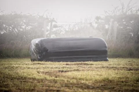 Square Black Silage Bale Stock Photos