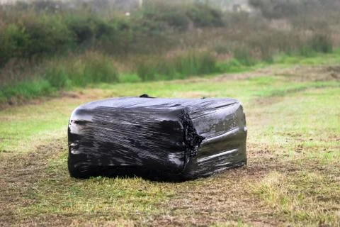 Square Black Silage Bale Stock Photos