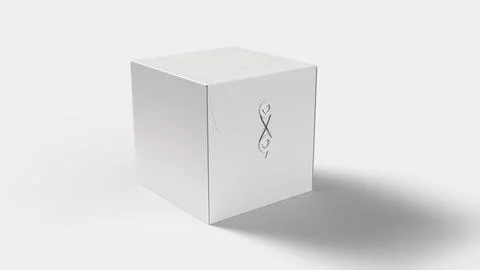 Square box with line in white template on white backdrop for mockup creation Stock Illustration