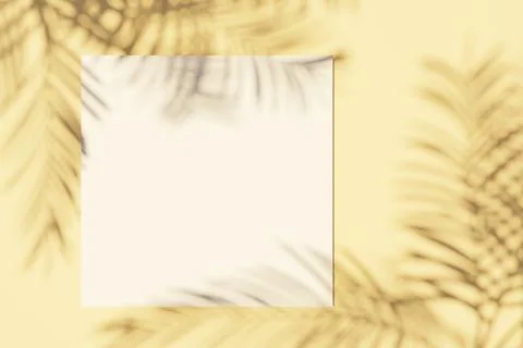 Square Card on beige background with shadows shape palm leaves. Minimal conce Stock Photos