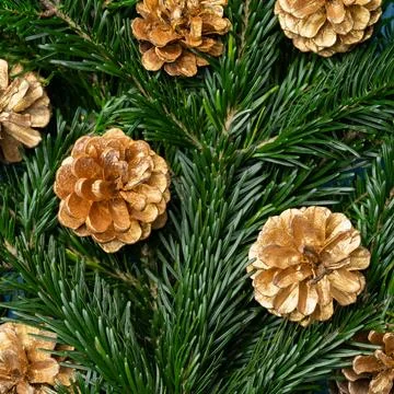 Square Christmas pattern golden pine cones Stock Photos