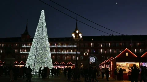 Square with christmas tree Stock Footage 222978995