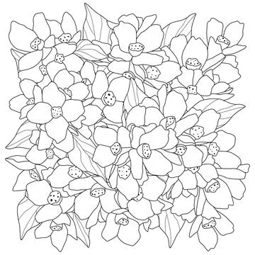 Square coloring full frame of flowers. Stock Illustration